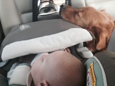 Catching a snooze during the "good" times